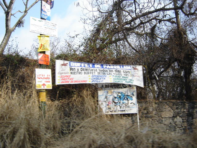 dsc06517.jpg